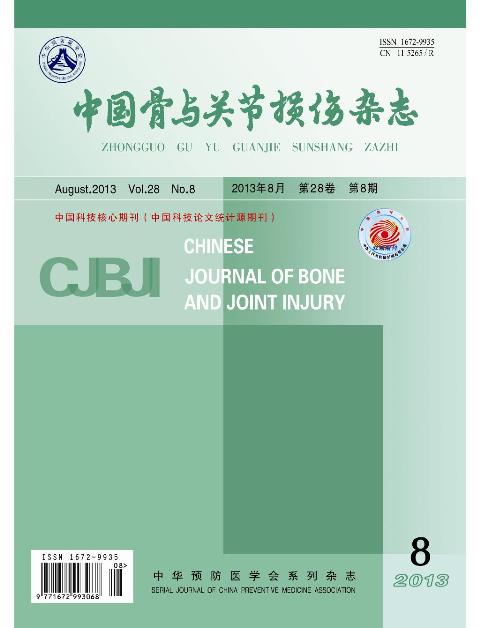 首页 : 中国骨与关节损伤杂志 : 期刊超市 - 中国